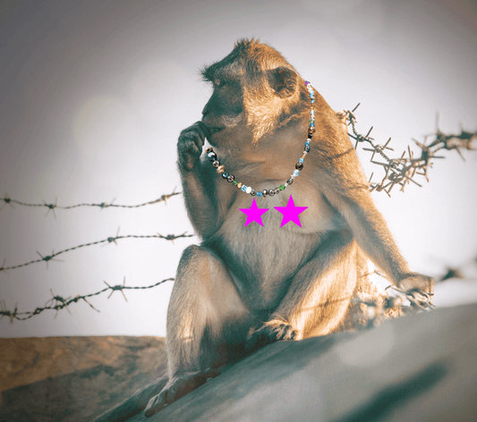 An Occasional Slip of the Nip adds Spice and Delight! Meet Roselyn Our Newest Model - Monkeysmojo